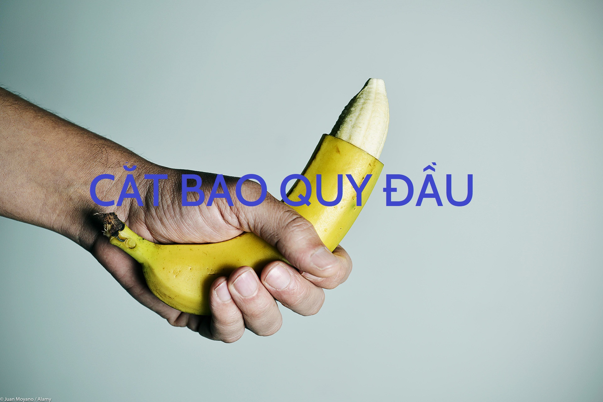 https://uploads-ssl.webflow.com/5f2a5f19541aa97581a68876/5fc8621cb6a31b9c4fae8e90_2408%20Cat%20Bao%20Quy%20Dau.jpg